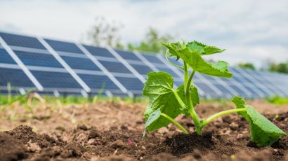 Three program benefits: 1. Clean Energy at Competitive Rate, 2. Clean Energy Development, 3. Quality Service